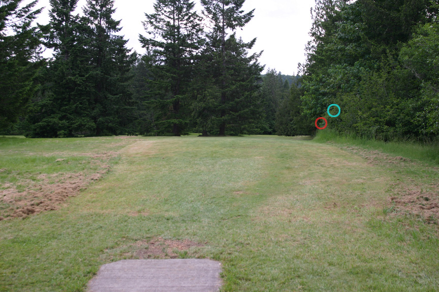 Hole 23 Tee showing pin placements