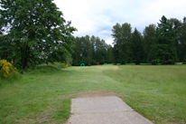 Hole 8 pin placements